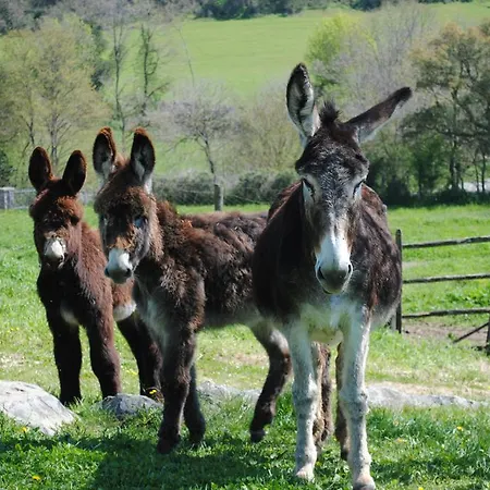 Alloggio per agriturismo Tenuta Serpepe Viterbo