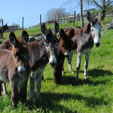 Alloggio per agriturismo Tenuta Serpepe *