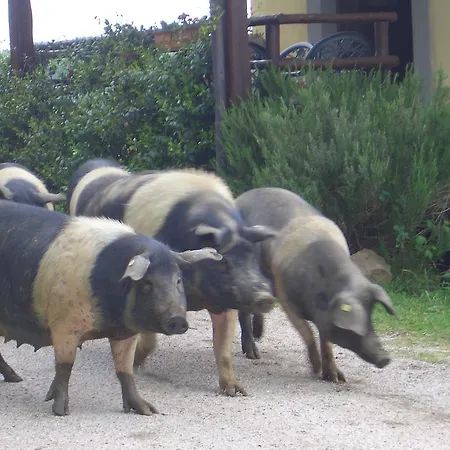 Tenuta Serpepe * Viterbo