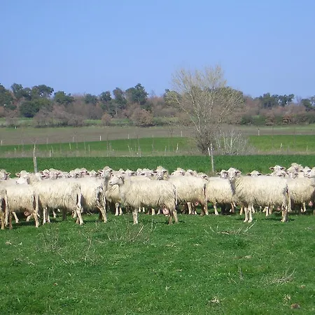 Tenuta Serpepe Alloggio per agriturismo