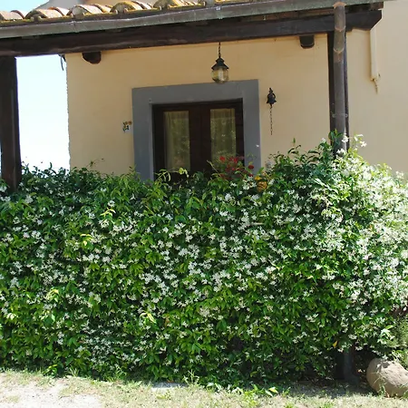 Tenuta Serpepe Alloggio per agriturismo Viterbo