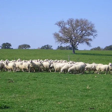 Tenuta Serpepe *