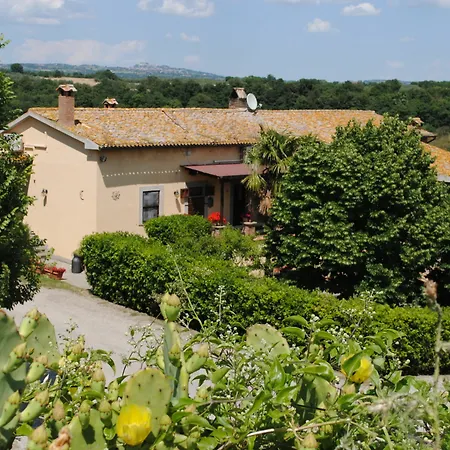 Tenuta Serpepe Alloggio per agriturismo Viterbo